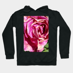 Hot Pink Dead Rose Hoodie